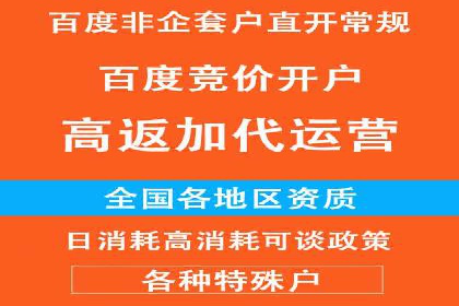 某企业SEM广告投放的ROI提升策略及效果展示